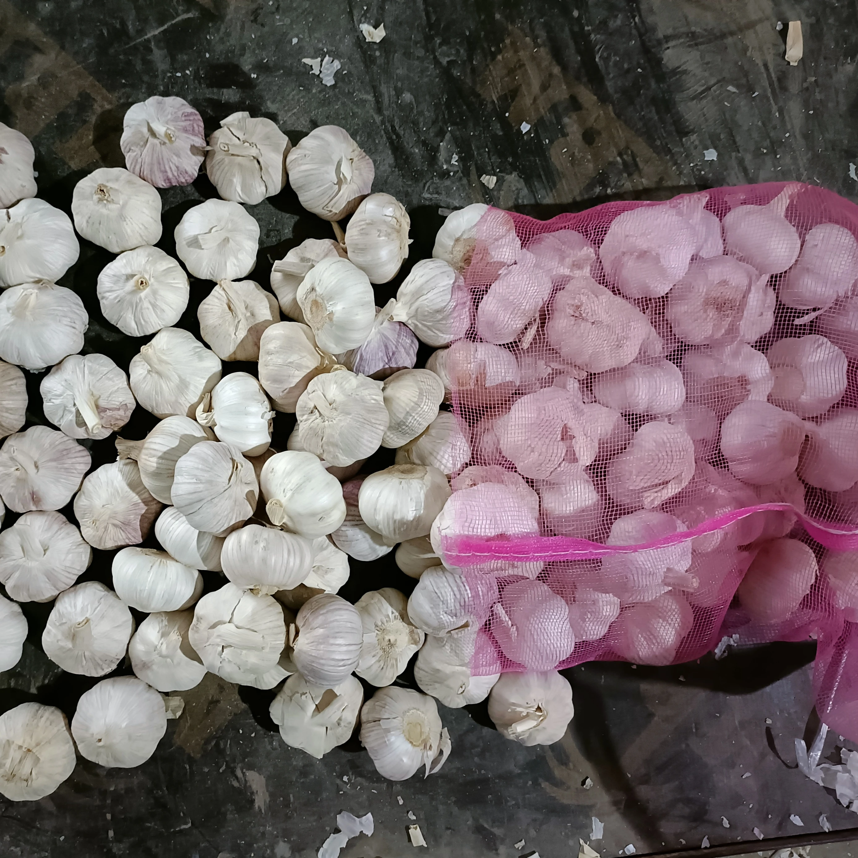 new crop fresh garlic Chinese white garlic narmal white garlic
