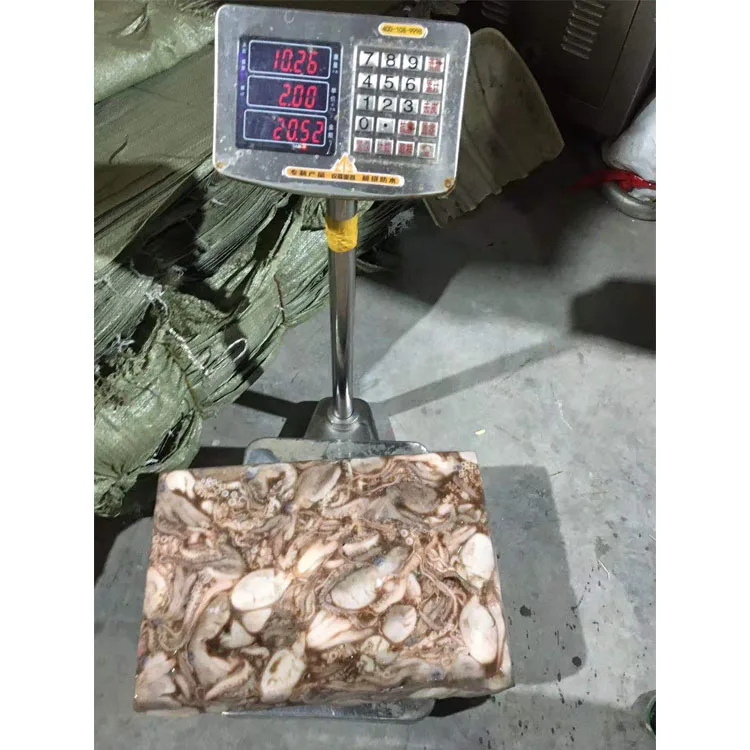 Hot Sale Attractive Price High Quality Big Frozen Octopus