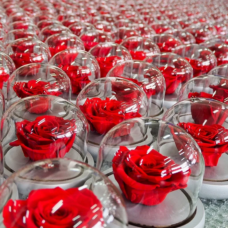 MCFloral День Святого Валентина консерванты Eternas Rosas вечная роза подарочный набор консервированных цветов розы в стеклянном куполе