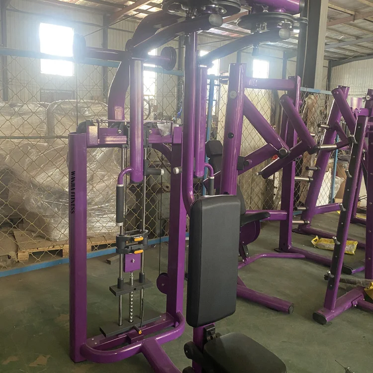 Source Factory Pin Loaded Selection Workout Dezhou Fitness Gym Equipment Rear Delt/Pec Fly For Exercise