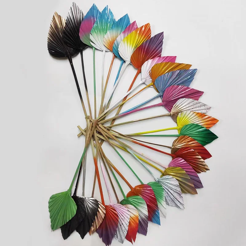 BX-2 Dried Palm Leaf Boho Style Natural Spears Plant dry flowers party decorations Decor Palm Leaves