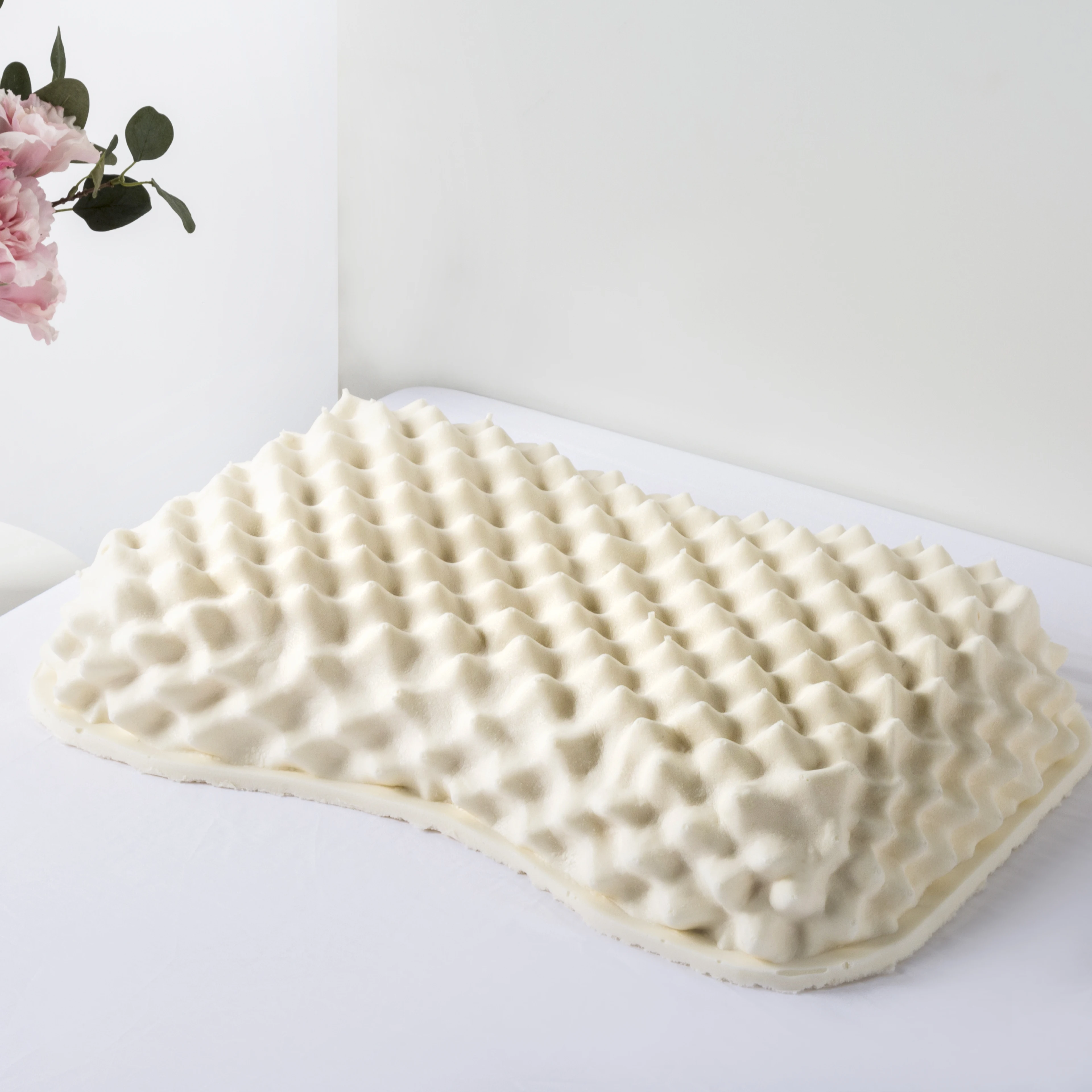 Good Quality Magic Sound Asleep Latex Foam Contour Rubber Pillow