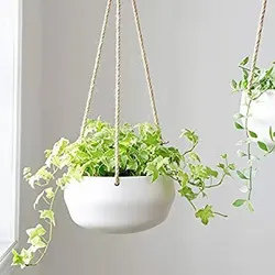 Home Decor Ceramic Hanging planter with Drainage Holes Morden White Hanging Plant Pot with Hooks,7.5 Inch
