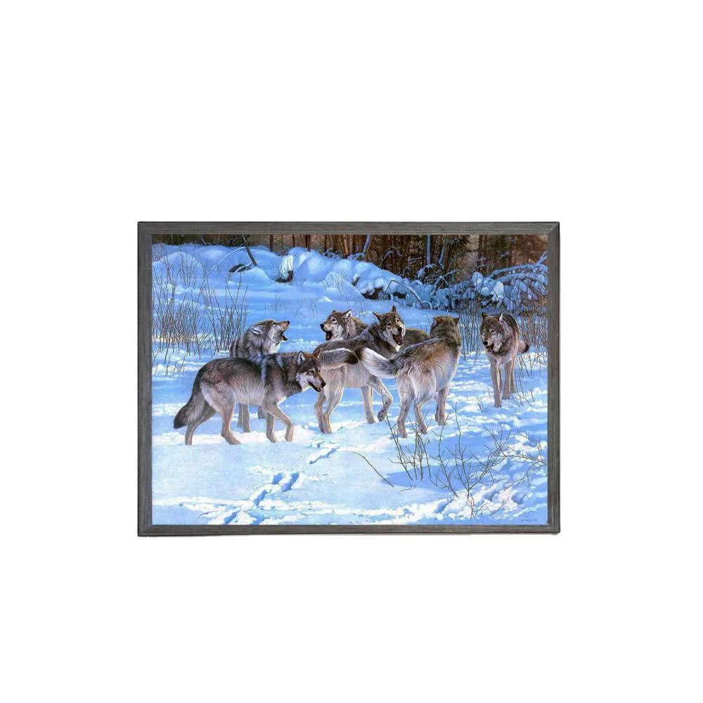 5D Diamond Painting kit wol for Adults Decor diamond mosaic Picture handmade painting canvas paintings for sale canvas wall art