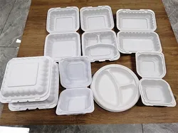 PP Clamshell Takeout Boxes Hinged To-go Food Containers Sturdy Thermoform MFPP Mineral Filled Plastic Fast Meal Disposable White