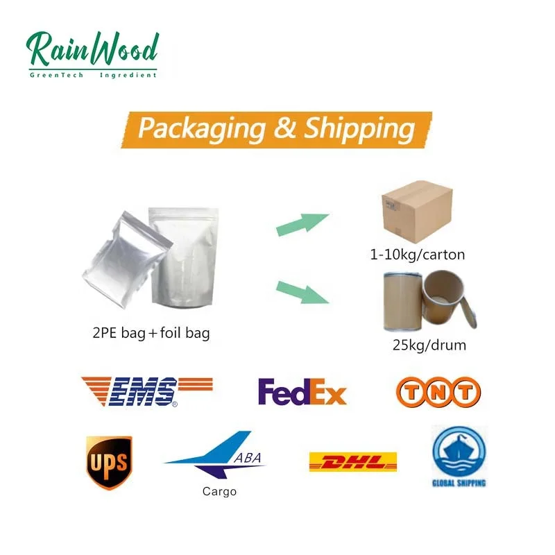 Supply High Quality Sophora Japonica Extract 95% 98% Quercetin Powder