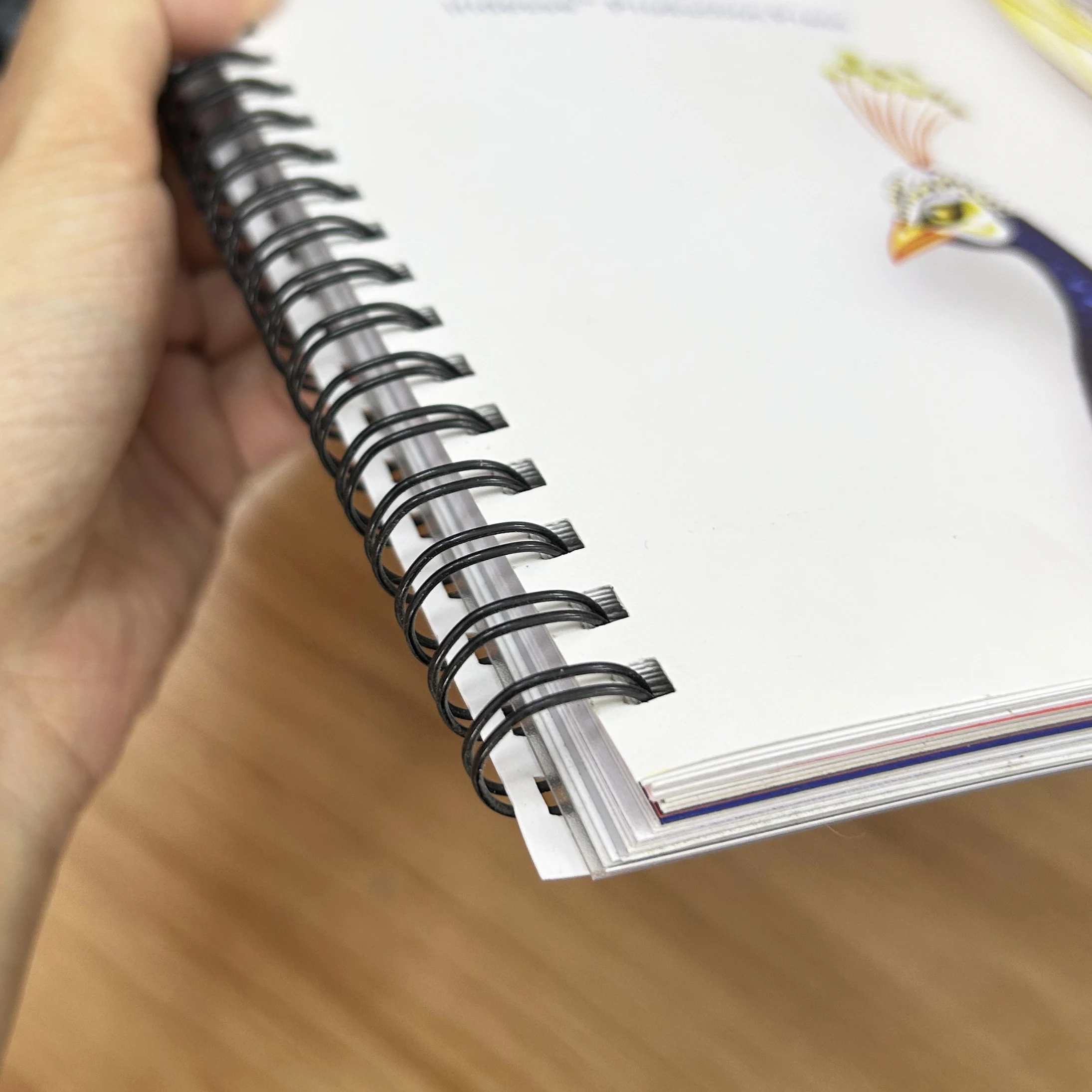 Customized picture book with double line iron ring binding, 200g picture book notebook Page that can be laid flat