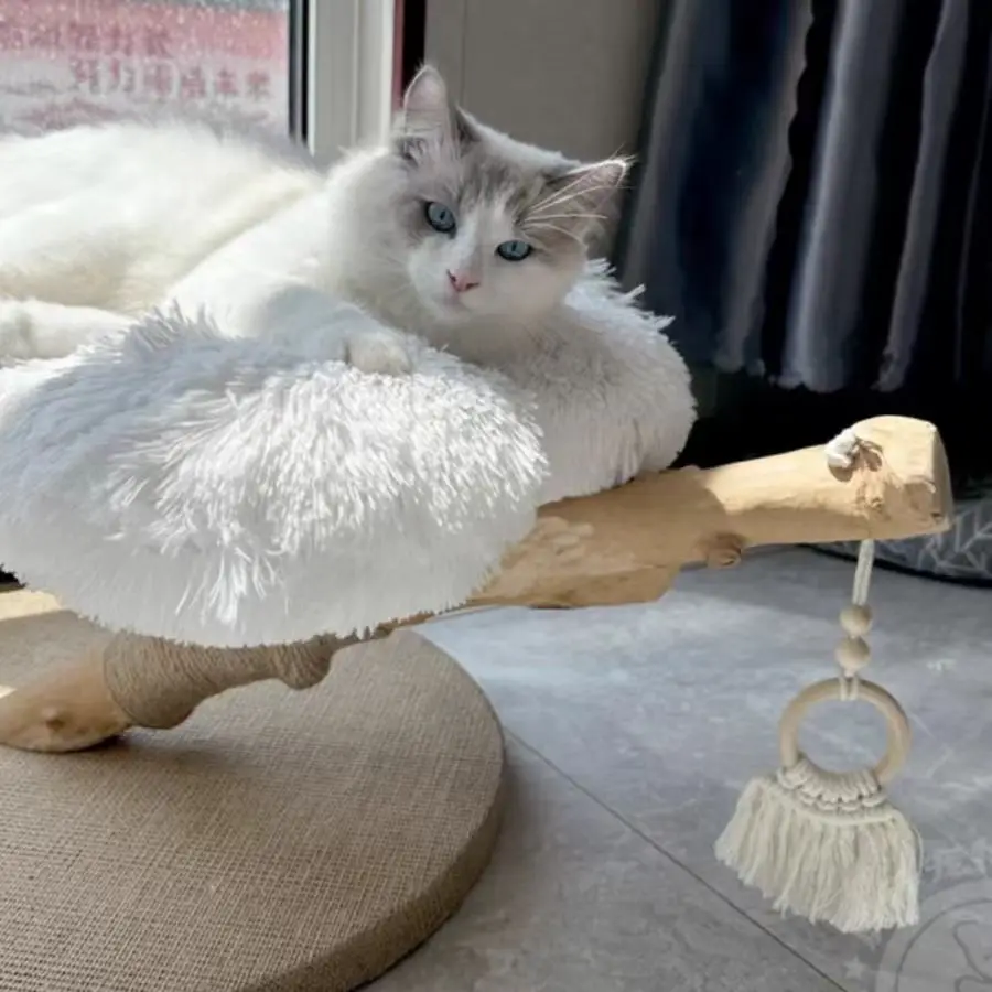 Luxury Wood White Large Cat Condo Tree With Flower Sleeping Bed Sisal Posts Perches Real Wood Branch