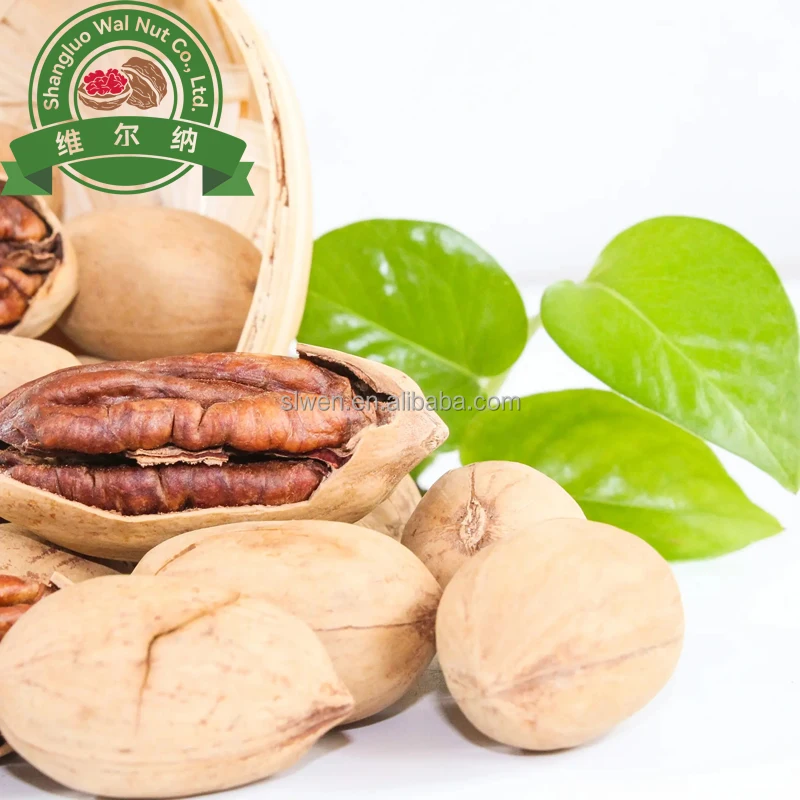 Good price high quality raw roasted Pecan kernel pecan nut