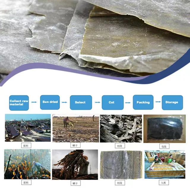 Лидер продаж OEM купить соленые морские водоросли конбу Великобритания оптовая продажа сушеных морских водорослей морепродукты dashi Laminaria