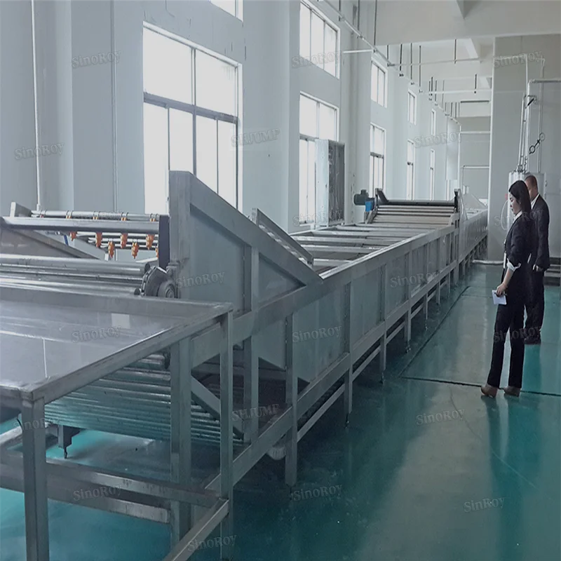 Lichee drinking juice product drinking processing production line