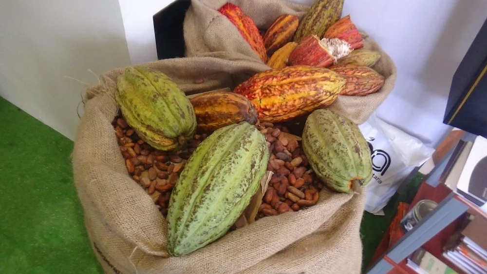 Superior Grade Peruvian Natural Raw Cacao Powder Ideal Food Industry Use