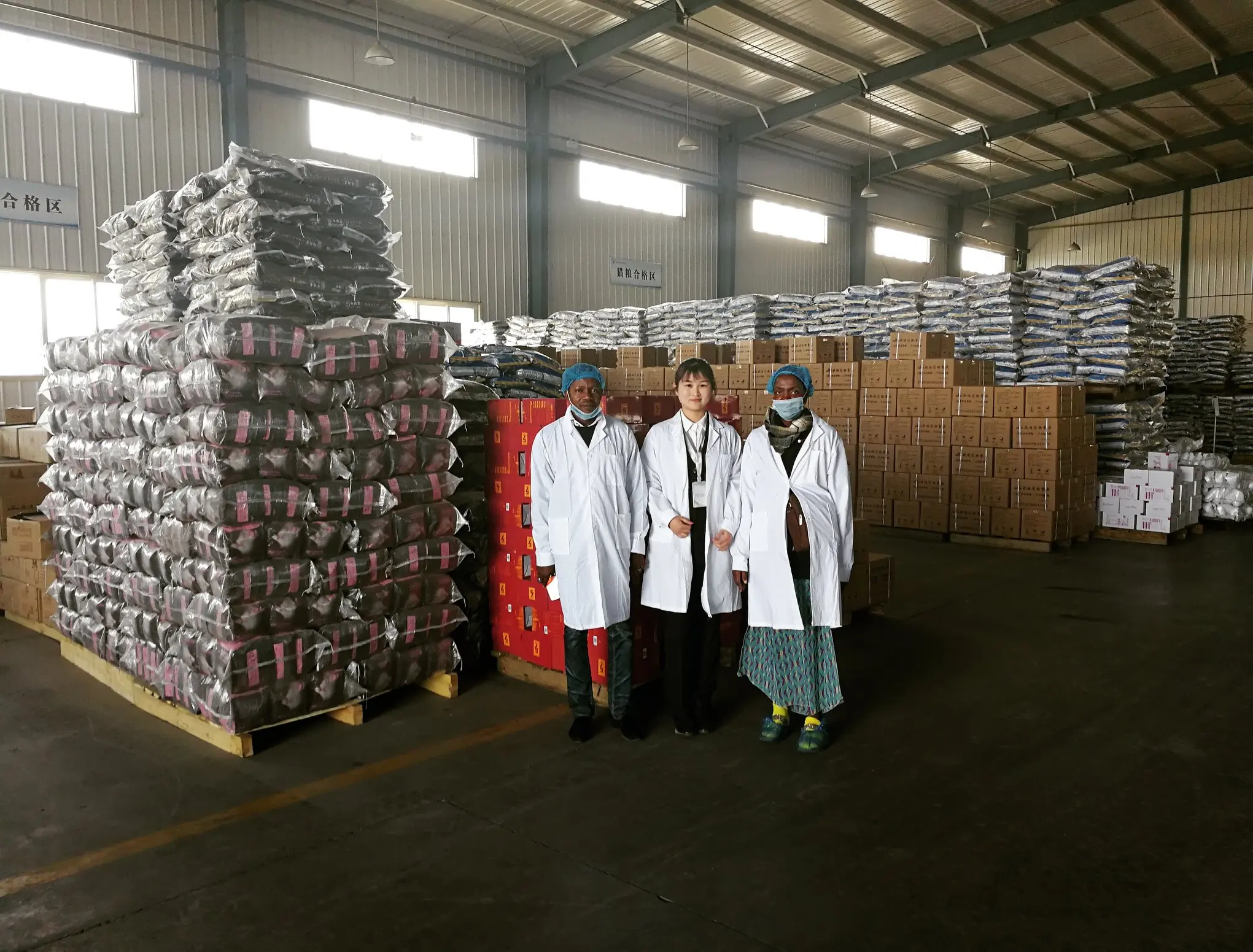 Oem Odm Заводская цена оптом натуральный логотип на заказ низкий аллергический питательный лецитин добавленный сухой корм для собак всех пород