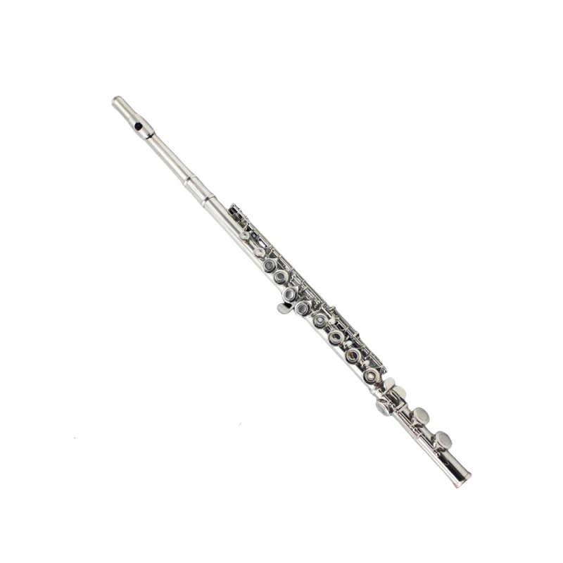High Quality Flute Closed Holes 16 Hole/17 - Hole Silver Plated/stage In Musical Instruments