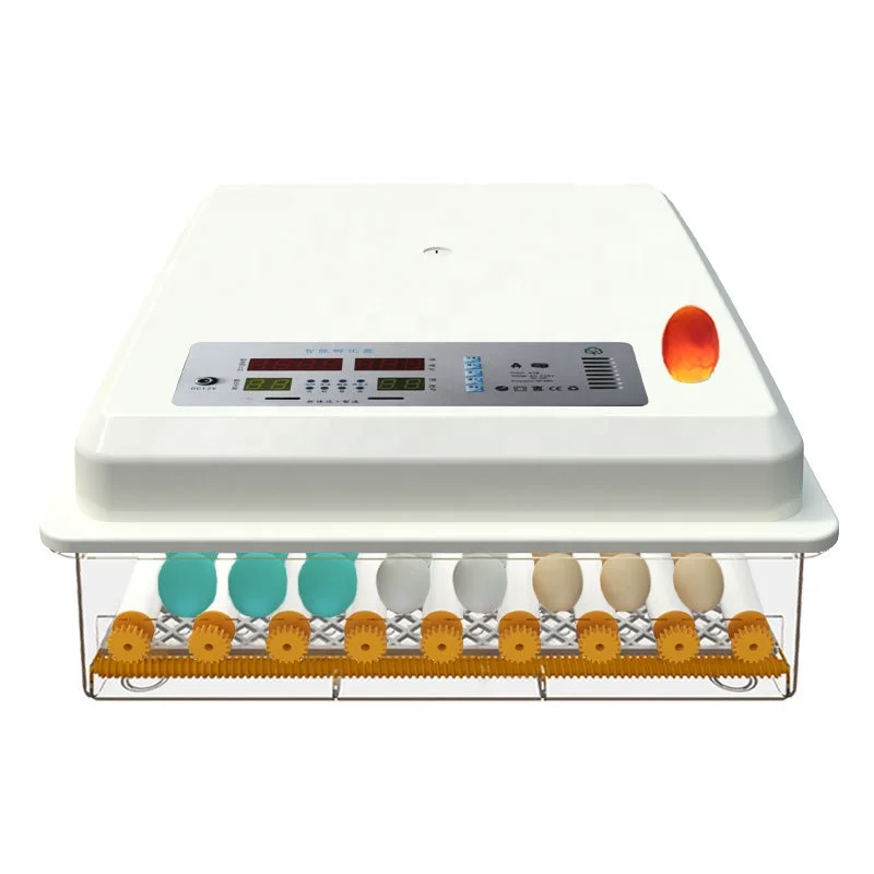 Brooder Bird Quail Chick Hatchery Incubator Poultry Hatcher Turner Automatic Farm Incubation Tools 110V/220V Egg Incubators
