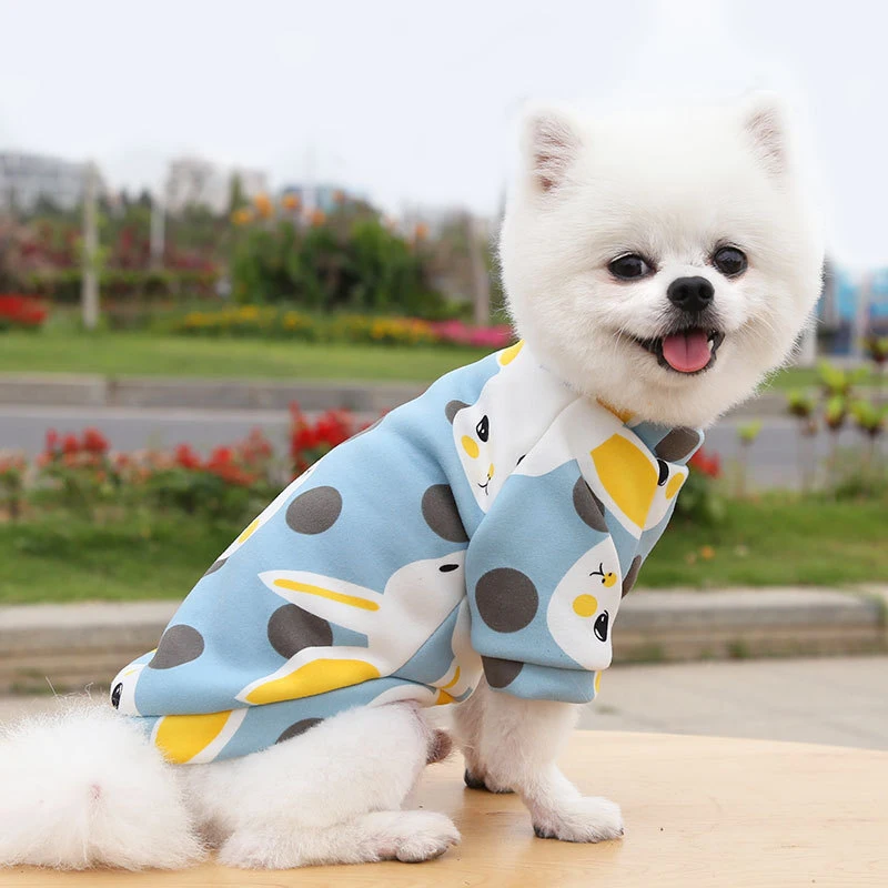 Pet Cartoon Plus Polyester Two-legged Sweater Spring and Autumn Clothes Teddy Small Dog Cat Clothes