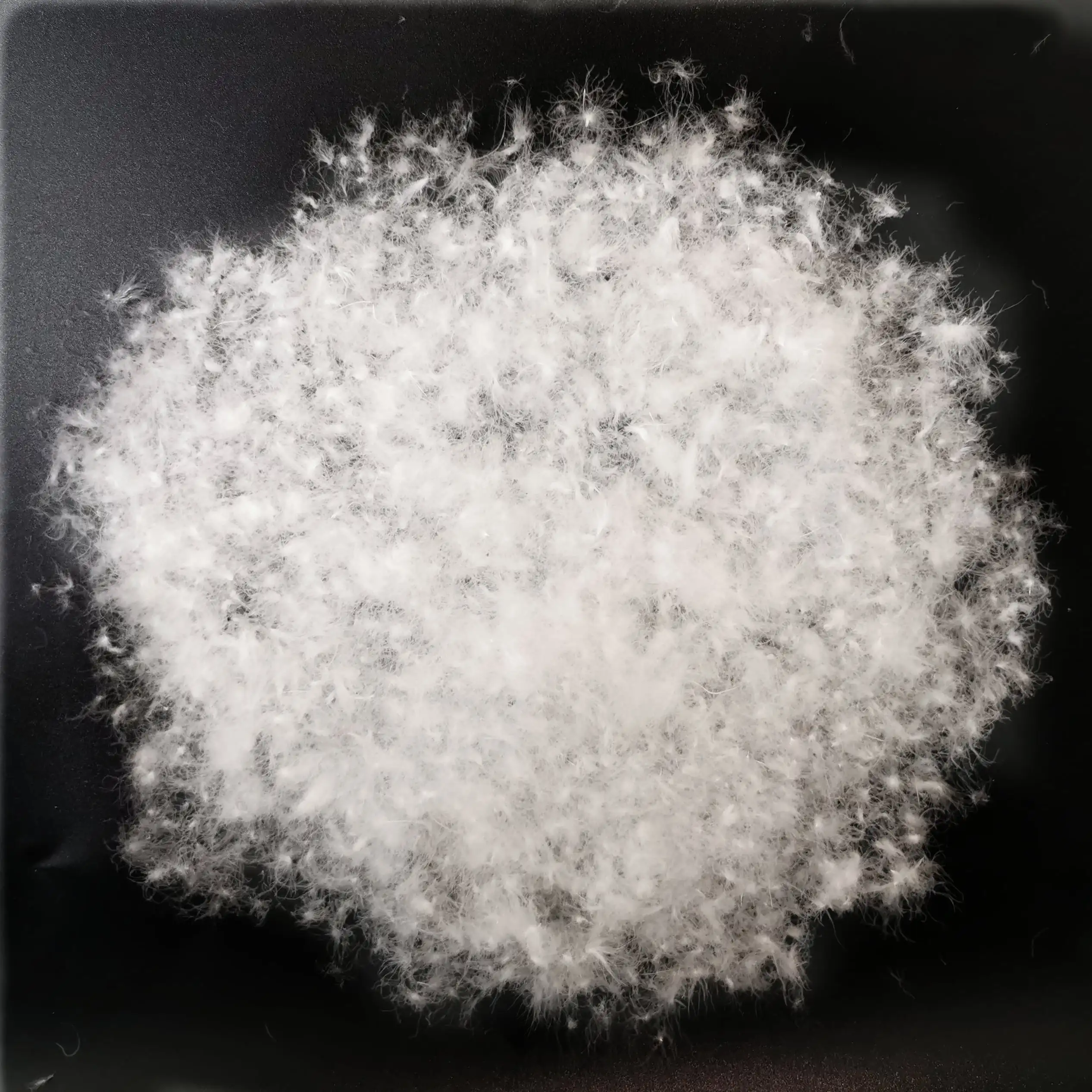 
Hot sale bedding filling wash white duck down , good cleanness duck down feather 