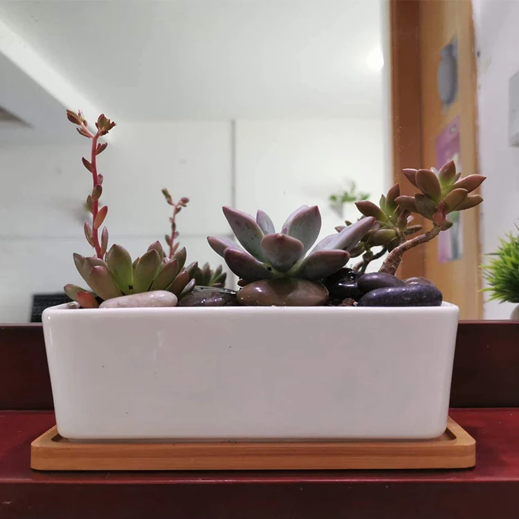 Modern Decorative Garden Flower Pot Ceramic Pots For Succulent Cactus Plants Pot With Drainage Wooden Tray