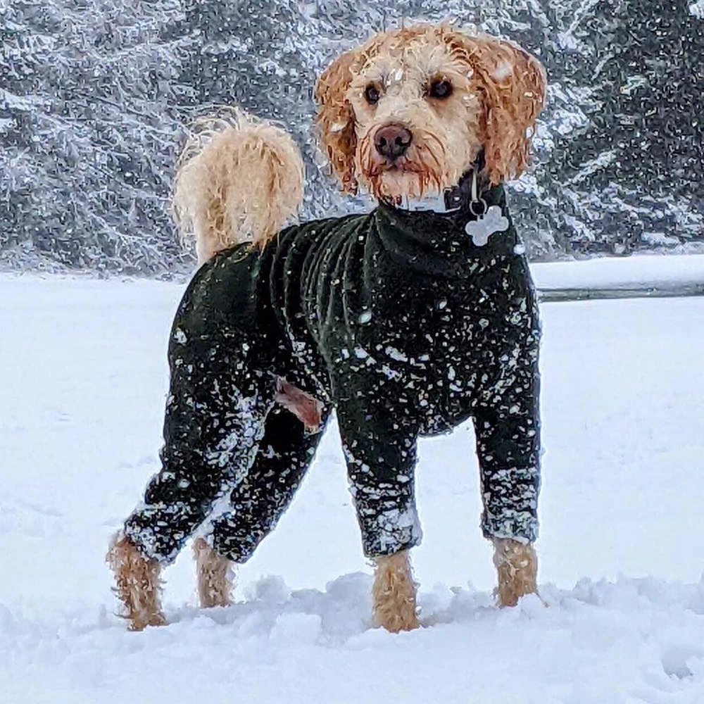 Одежда Ropa Shein оптова джемпер Hunde Chien Polartec с 4 ножками роскошная дизайнерская модная теплая зимняя одежда для собак