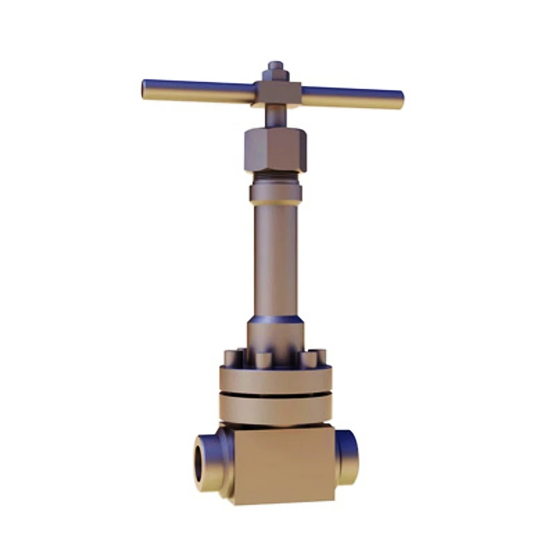 Fored Steel Swing Non-return Valve 3.2Mpa Socket Welded Cryogenic High Pressure Check Valve