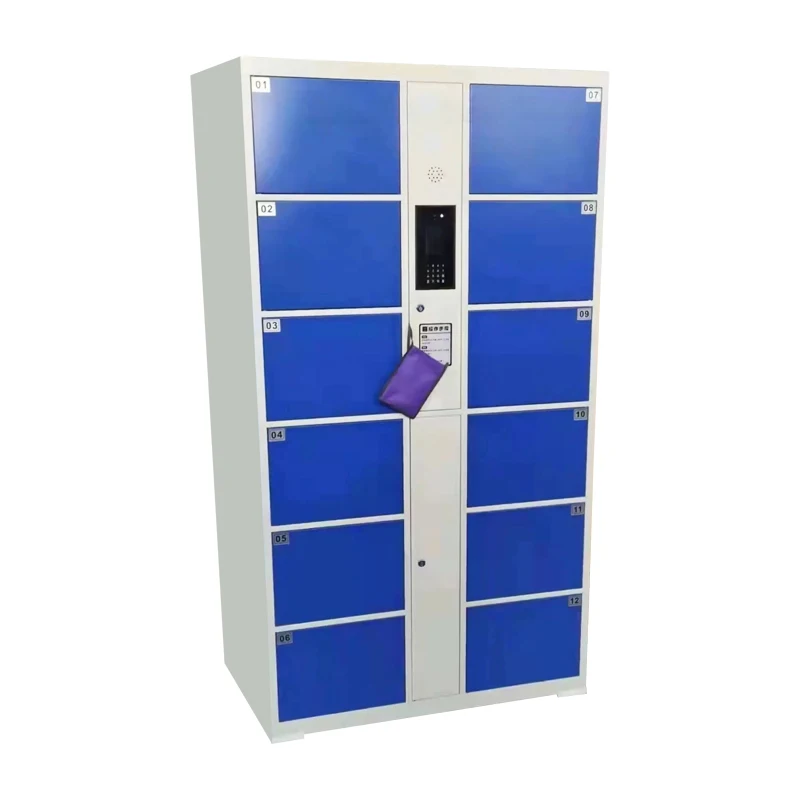 Electronic locker supplier wholesale steel automatic lock biometric locker for station school gymnasium  smart locker