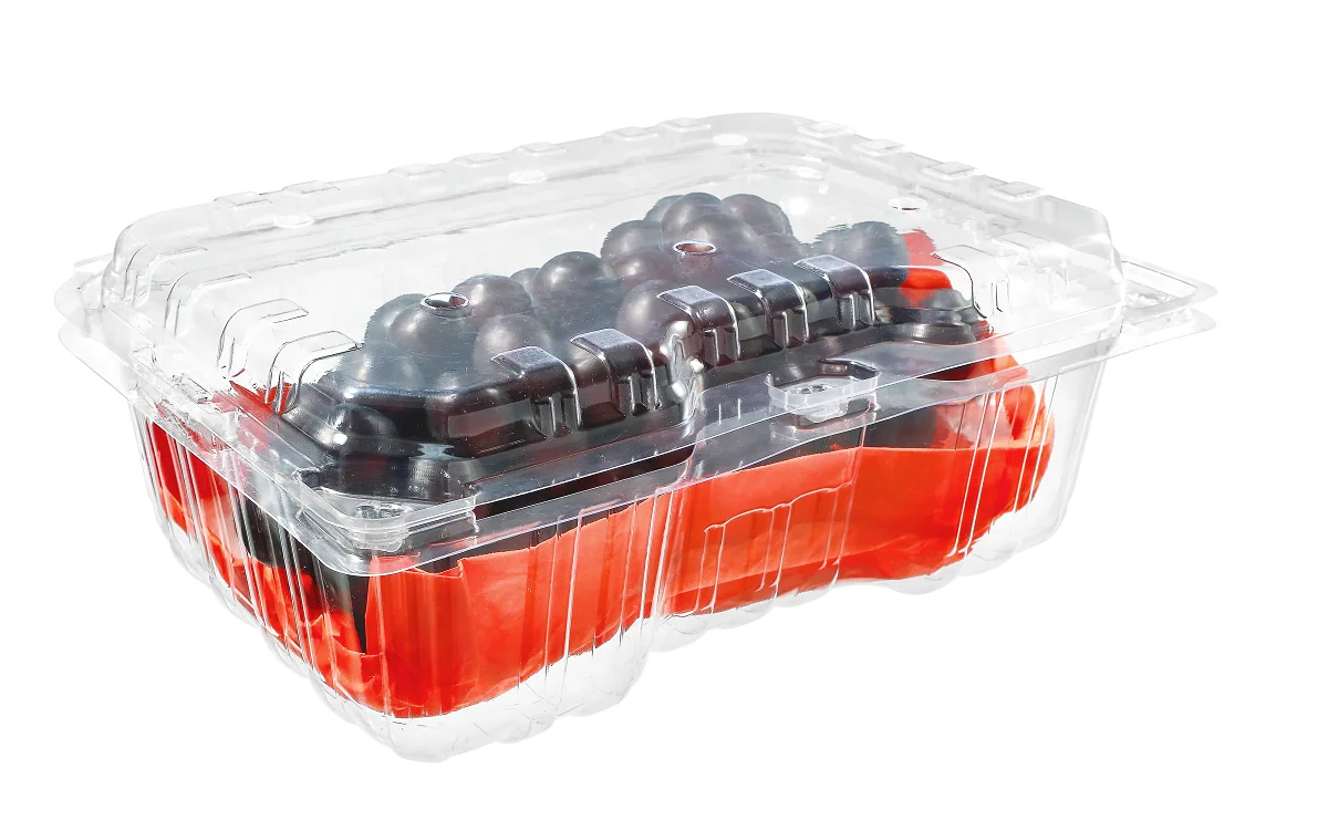 Disposable PET Transparent Clamshell Grape Fruit Packaging Boxes Clear Fruit Plastic Blister fruit hinged container