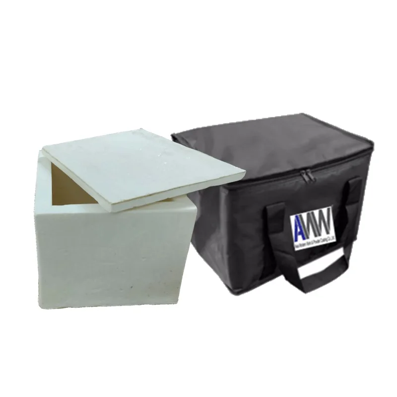 Premium Temperature Controller Box PU Box-20 Cold Chain Logistics Cold Packaging Cooler Bags from Thailand