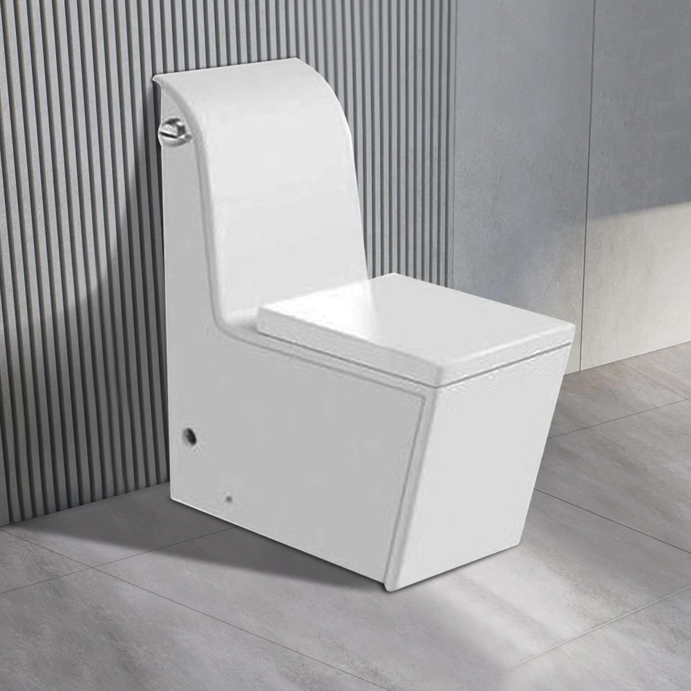 dual-flush ceramic washdown one piece wc toilet for kit