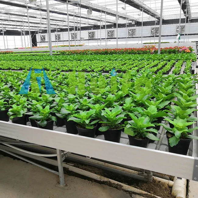 Good Sale Growing Rolling Bench Ebb And Flow Table Plastic Seedbed For Planting 4x8 Grow Table