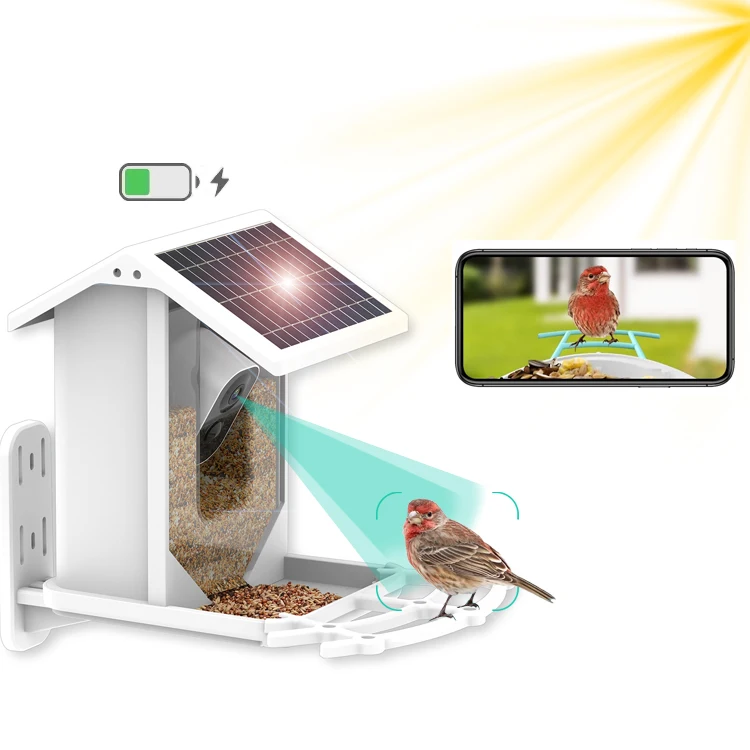 Smart Bird Feeder Solar Charging Identify Bird Species Auto Capture Videos Bird Feeder with Camera