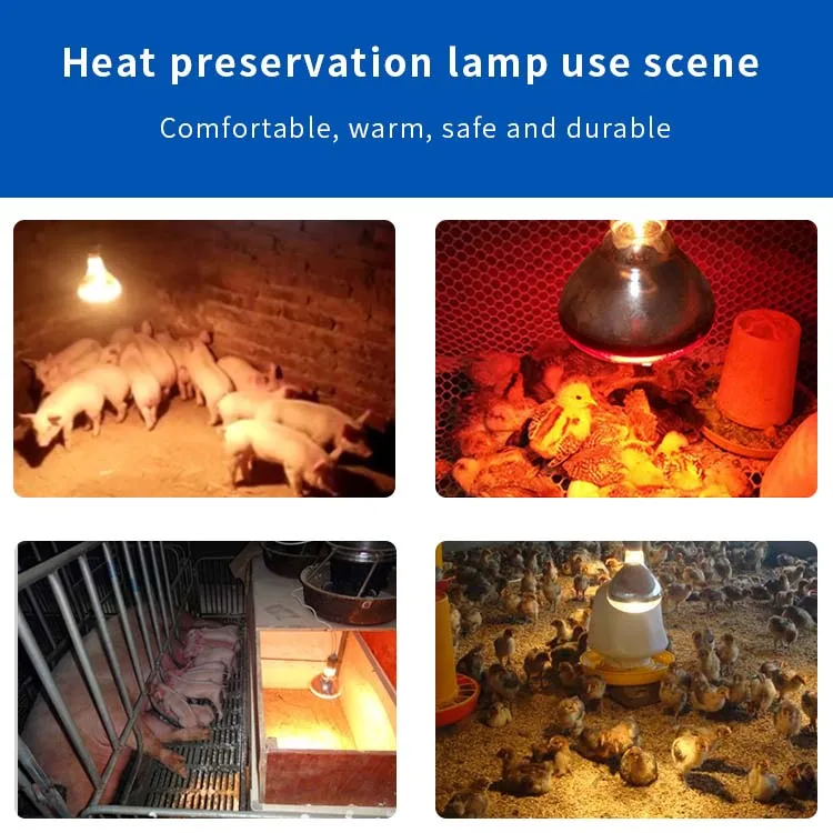R125 Оптовая продажа животных поросят Бройлер для сна курица птичьи птицы/нагревательная лампа для домашних животных