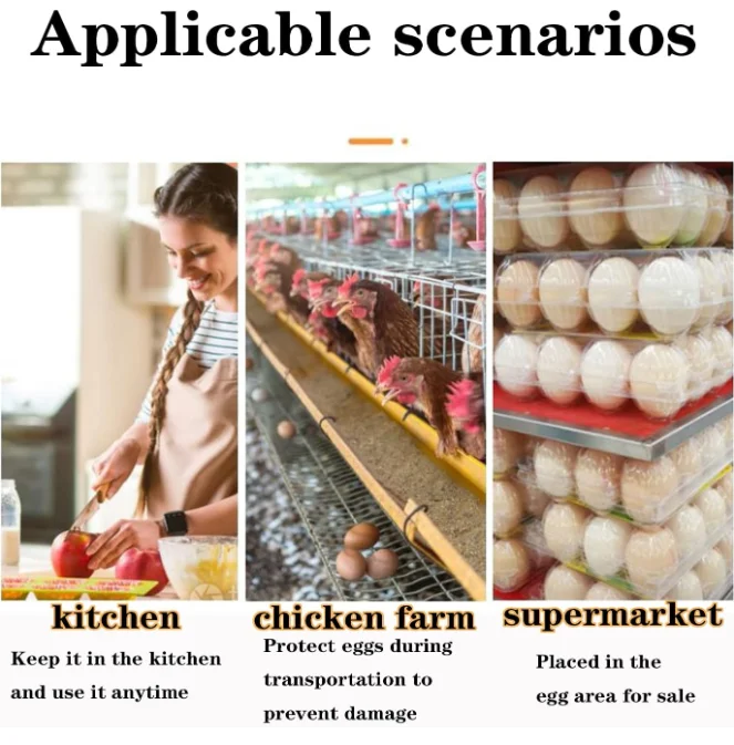 Plastic Clear Egg Carton for 8 Eggs, 20packs Egg Tray Reusable Medium Size Egg Cartons Perfect, Clear Empty Chicken