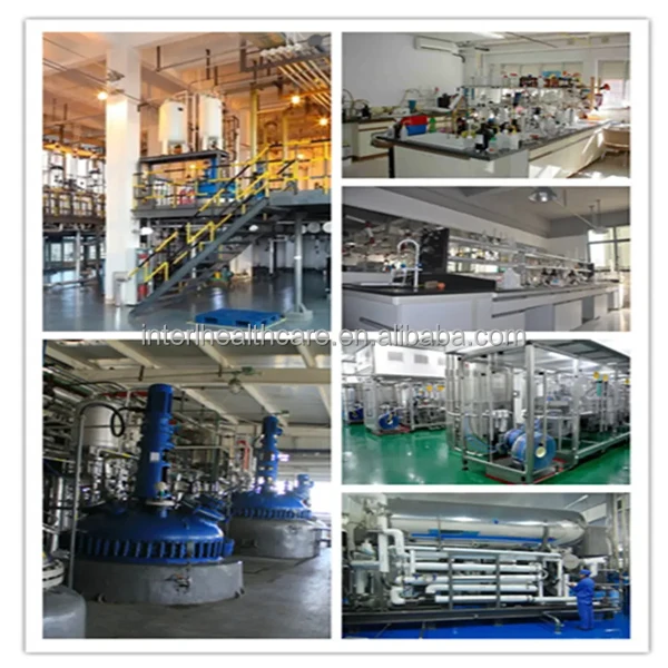 food grade inulinase chicory Root Jerusalem cactus Extract probiotic bulk inulin powder