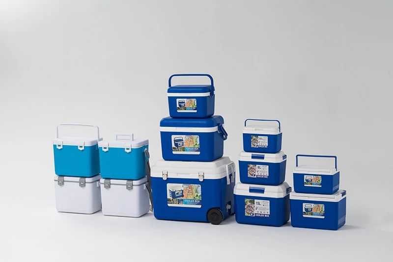 
10L Portable Plastic Outdoor Camping Cooler Medical Vaccine Blood Transport Shipping Small Mini Ice Cooler Box 