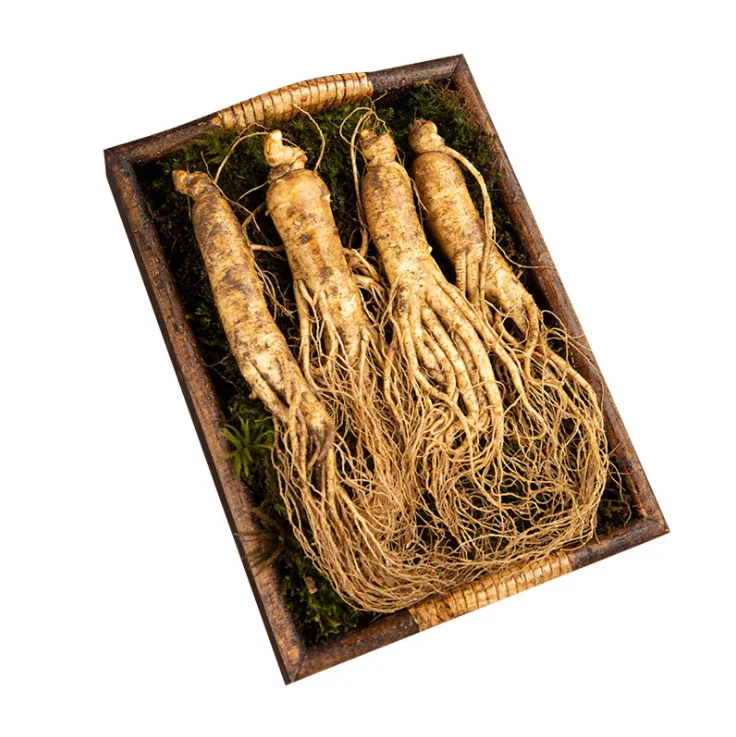 Original herbal tea Ginseng tea