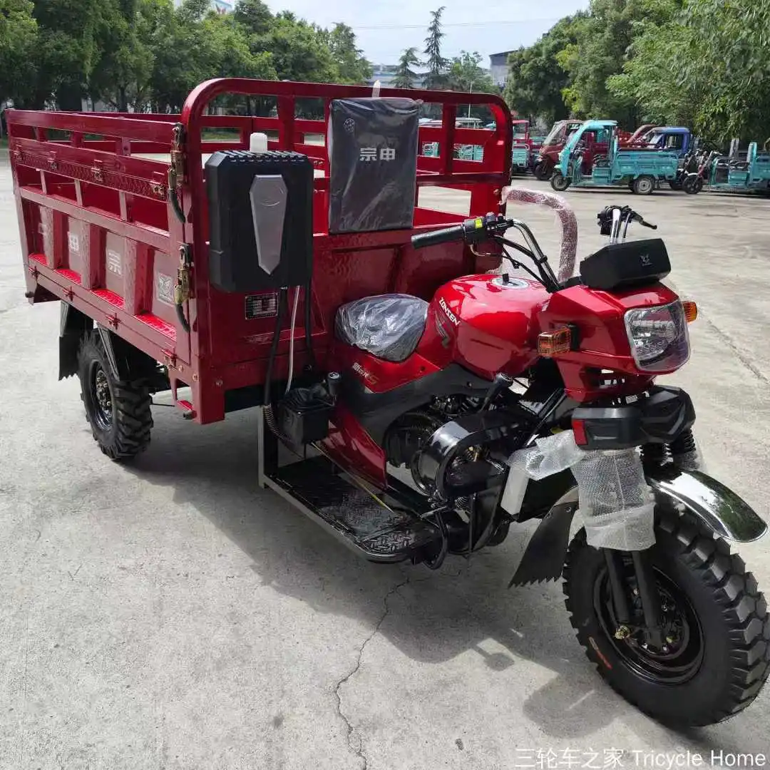 Wholesale tri motor cargo gasolineTricycle  heavy load gasoline Tricycles Three-door tricycles