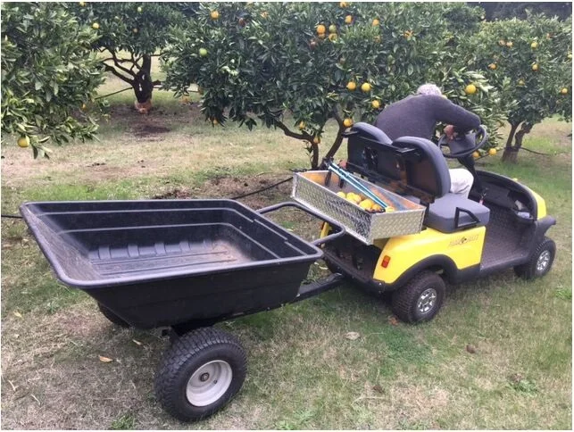 2 seat mini golf cart,kids golf scooter ,with rear cargo box or seat from Chinese factory