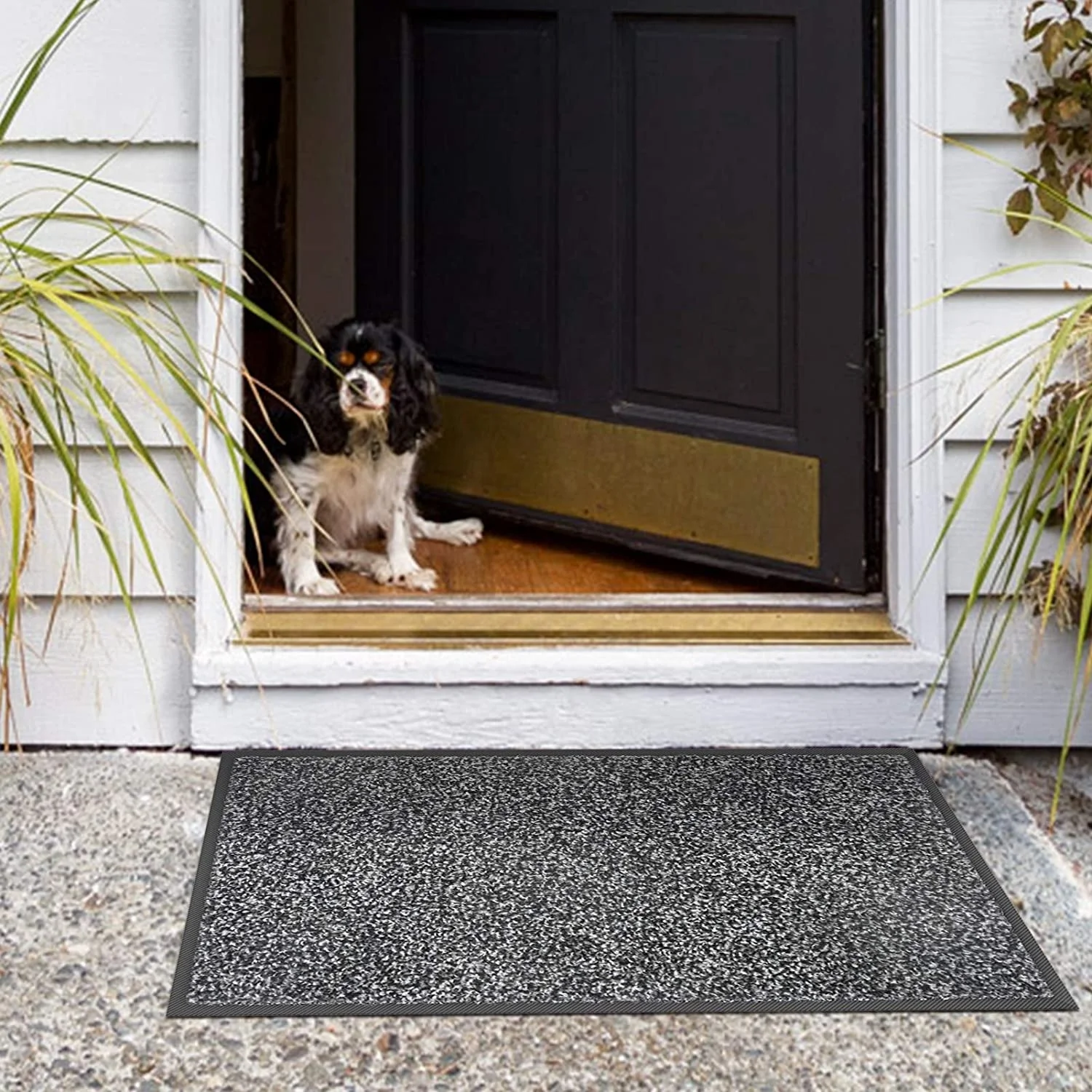 PVC Backing Tufted Mat Home Hotel Wind-Preventing Blowing-Away Resistant Waterproof Washable Outdoor Door mat Anti-Slip Doormat