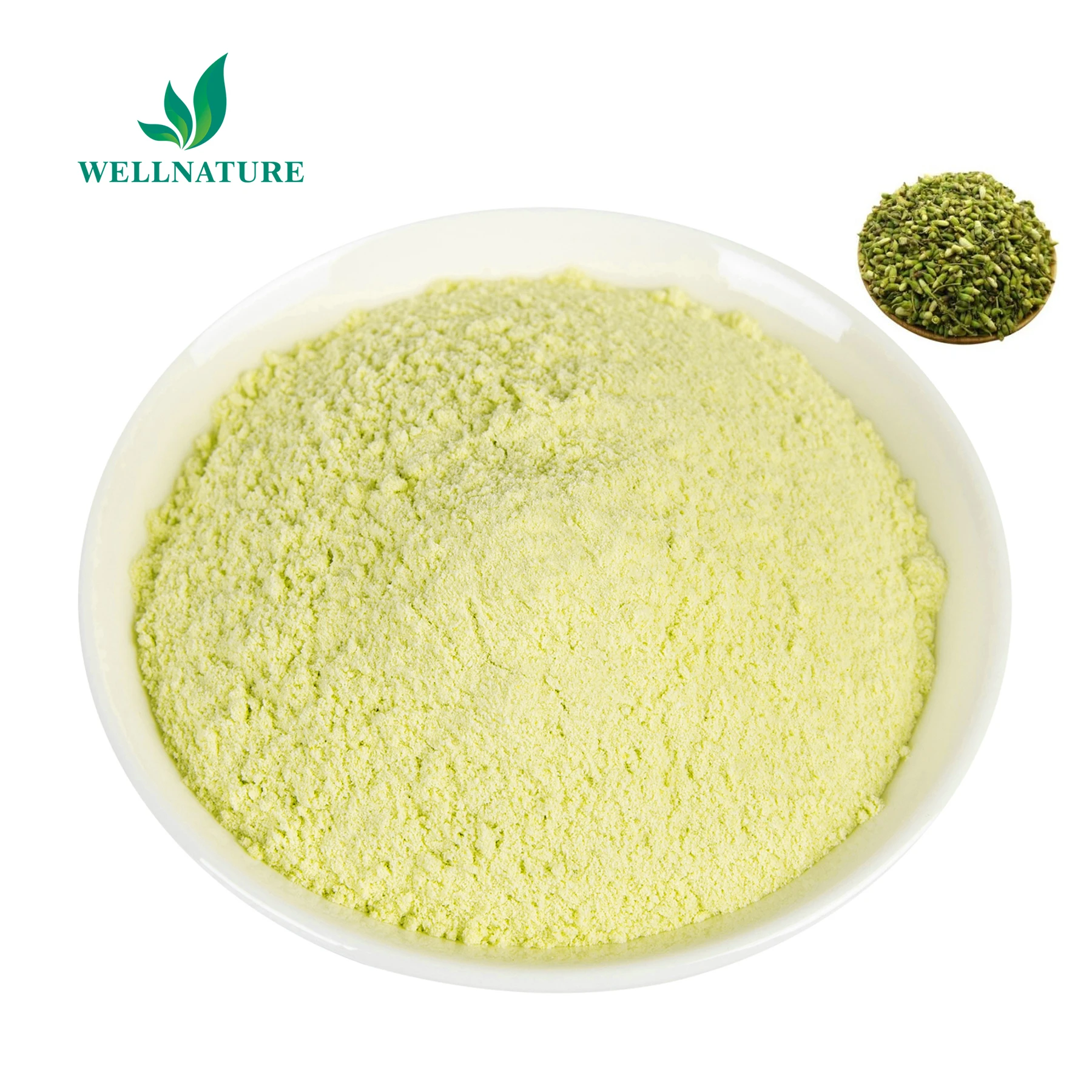 CAS 153-18-4 Rutin Sophora Japonica Extract Powder 95% Rutin Powder