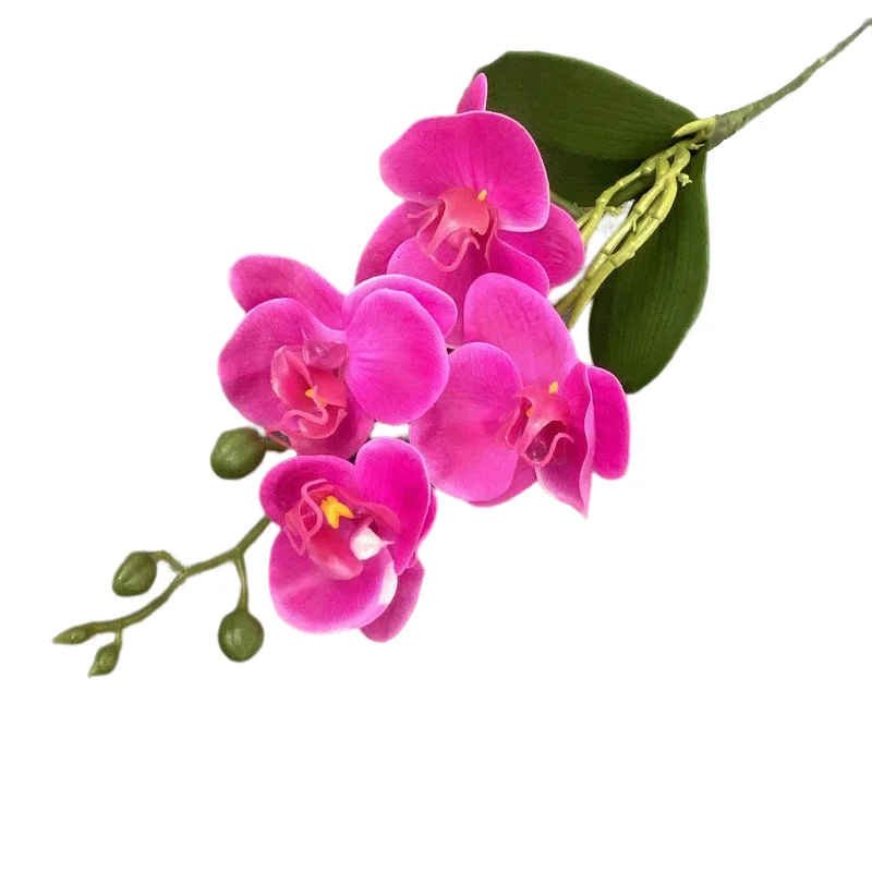Wholesale High Quality Artificial Plastic 4 Heads Phalaenopsis Orchids Real Touch Latex Flowers