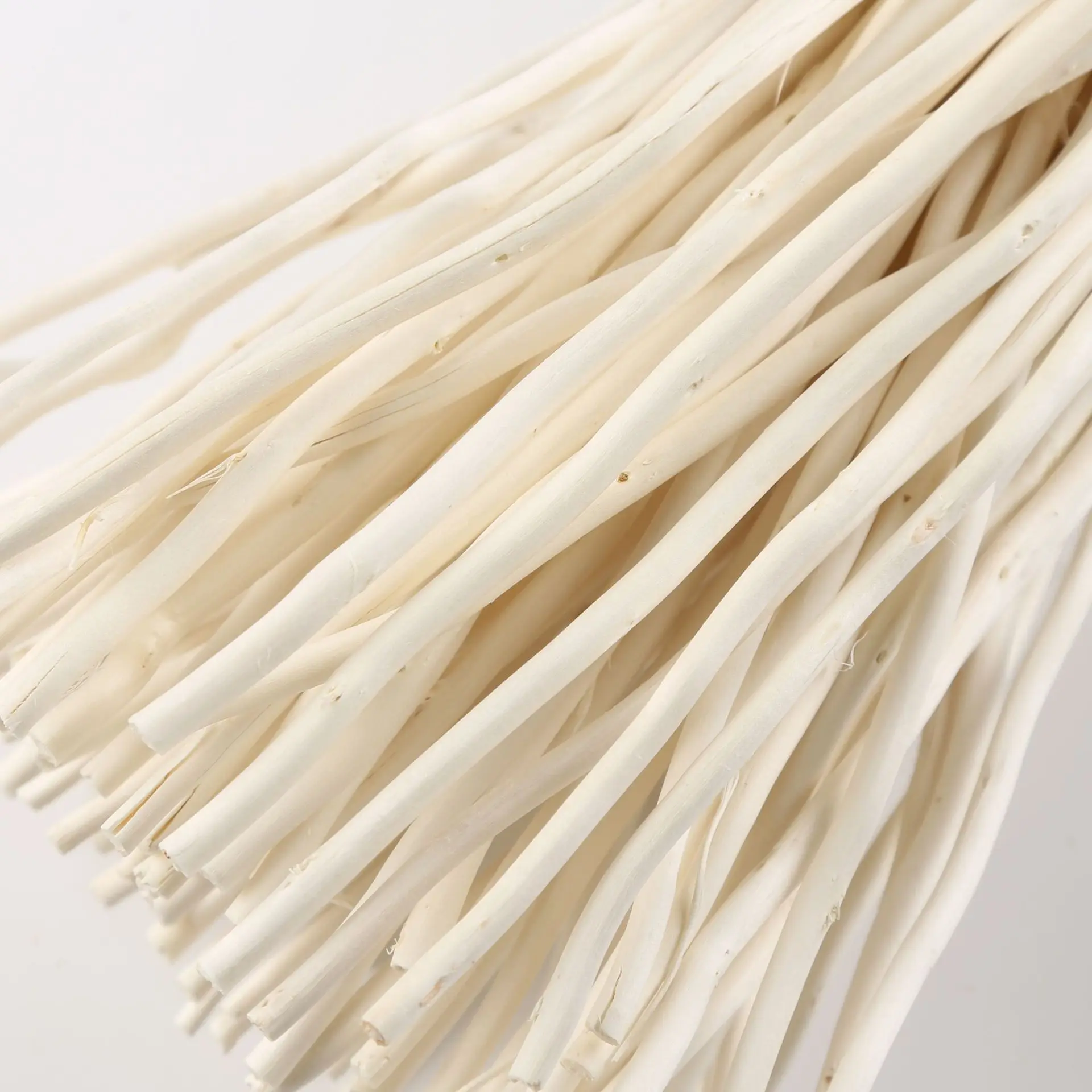 Natura Curly Willow dried pampas Branches Dried Curly Willow Branches 100% Natural Decorative White Sticks for Home Decor