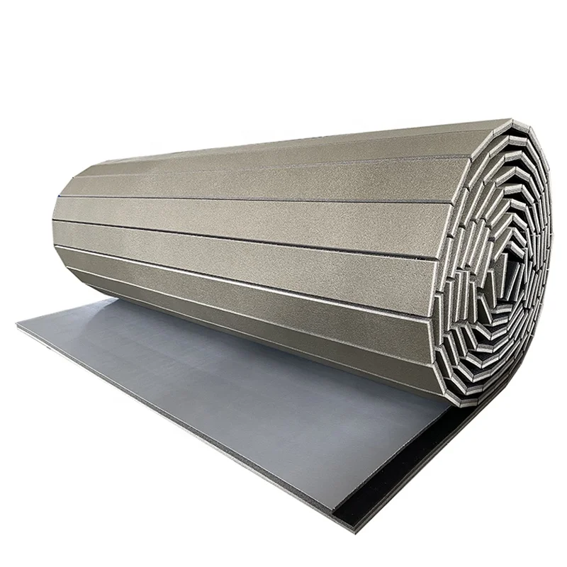 China Manufacturer Rolled Up Gymnastic Floor Fitness Grappling Karate BJJ Taekwondo Mats
