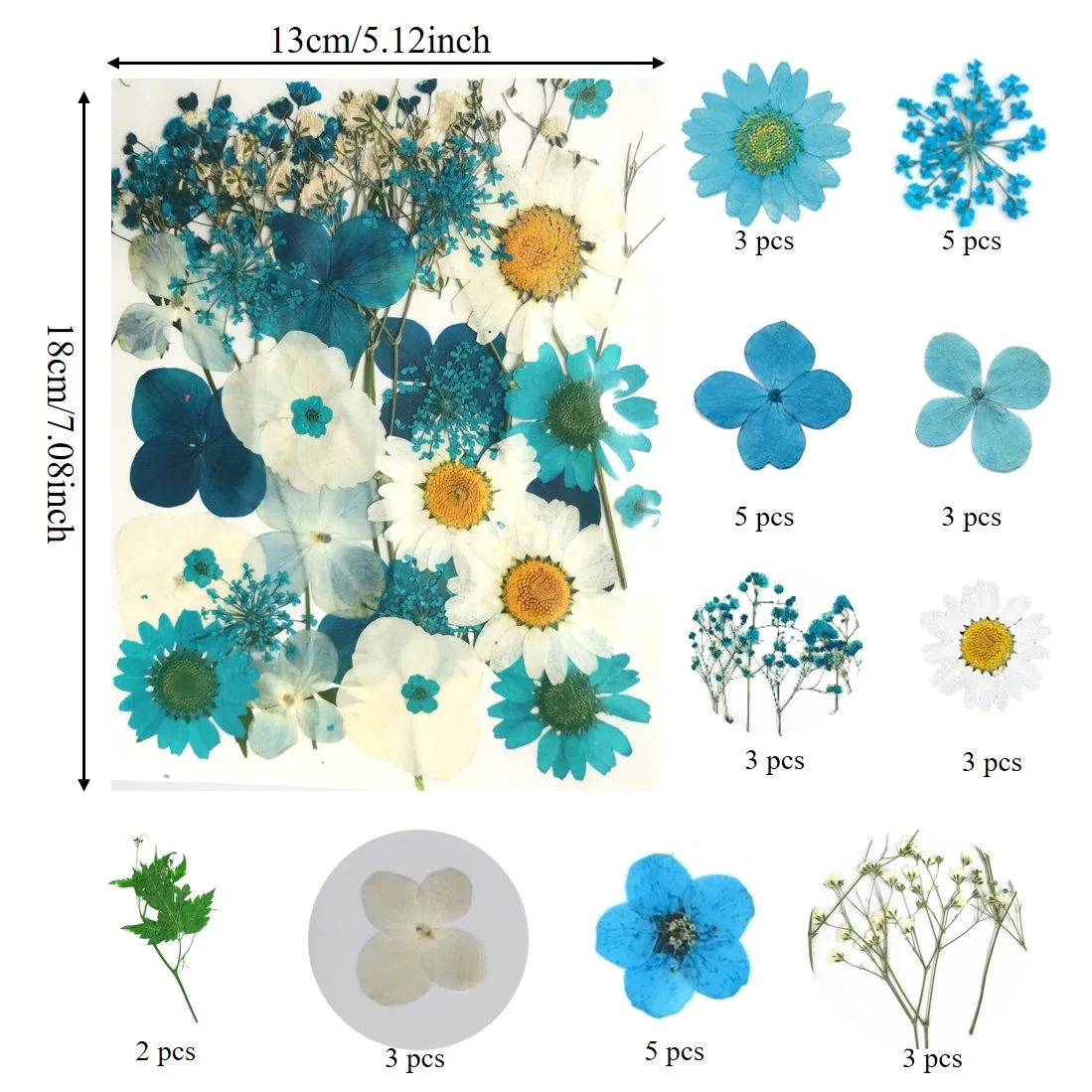 
2021 DIY Romantic Natural Decorative Flower Dried Pressed Flowers For Mothers Day 