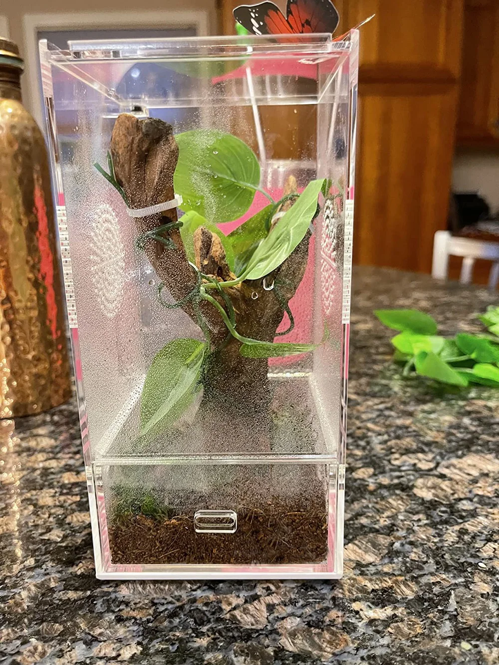 Acrylic Reptile Terrarium Magnetic Full View Acrylic Reptile Tank Breeding Box Enclosure Reptile Feeding Case