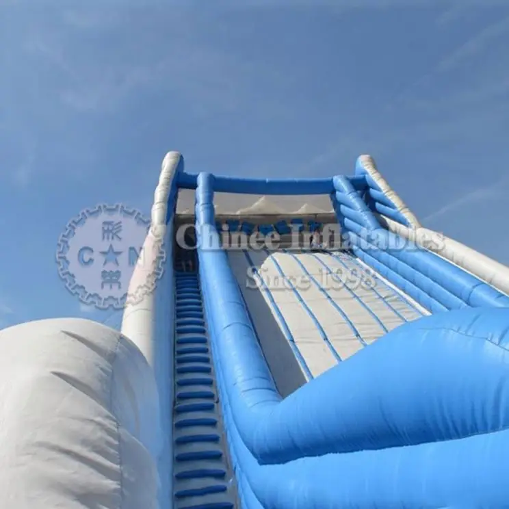 Newest Exciting Commercial Inflatable Slide Giant Inflatable Toboggan Slide for Adult