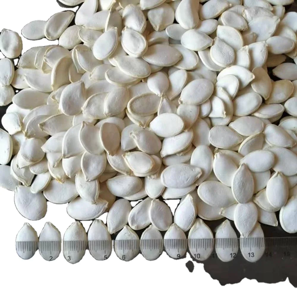 Новейший Урожай соленых китайских семян тыквы