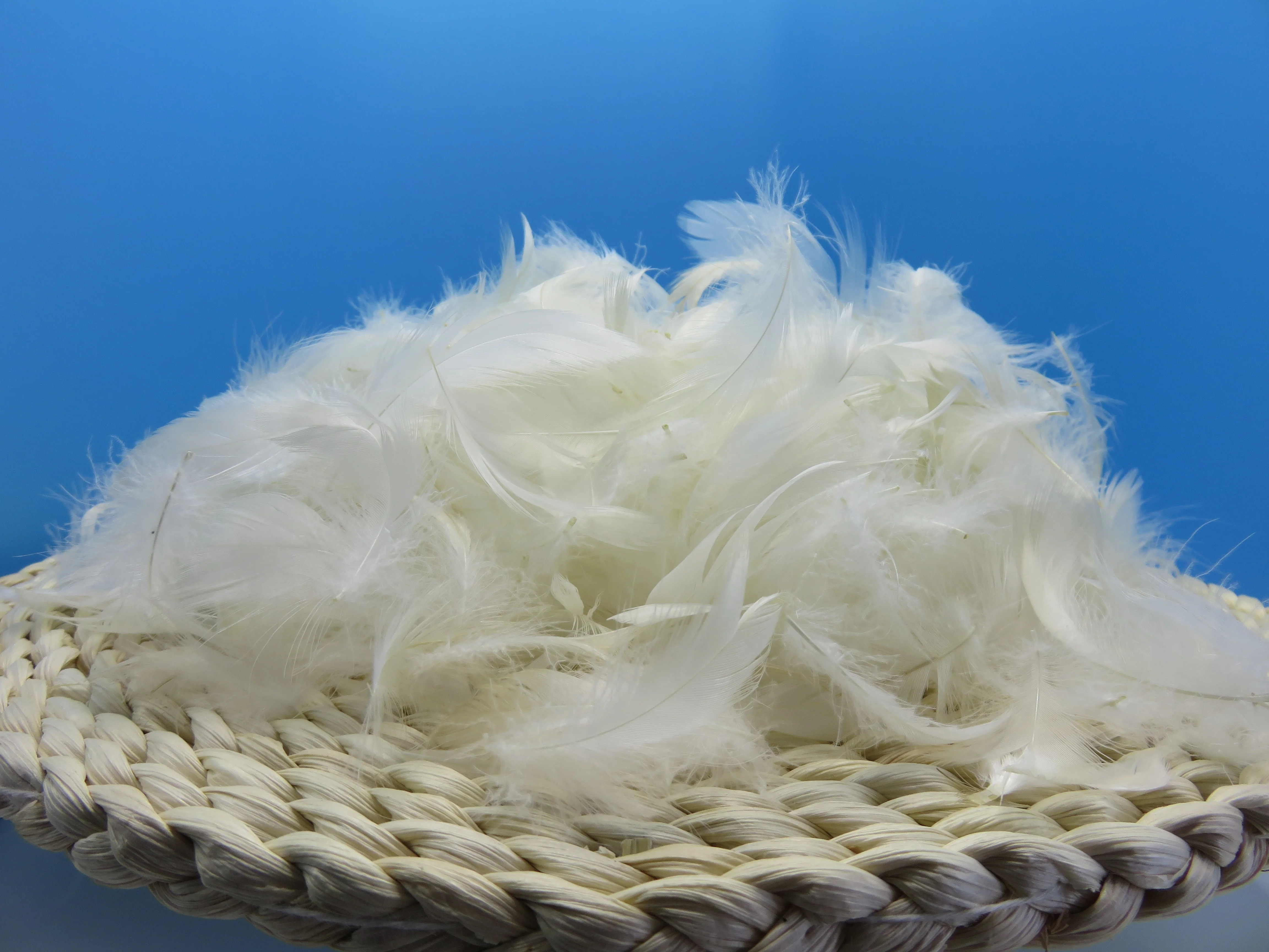 2-4 см белые гусиные перья вымытые изделия для рукоделия