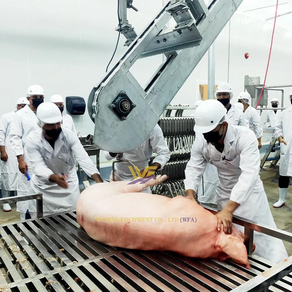 Turnkey Abattoir Line Pork Slaughtering Carcass Processing Conveyor Equipment for Pig Slaughterhouse