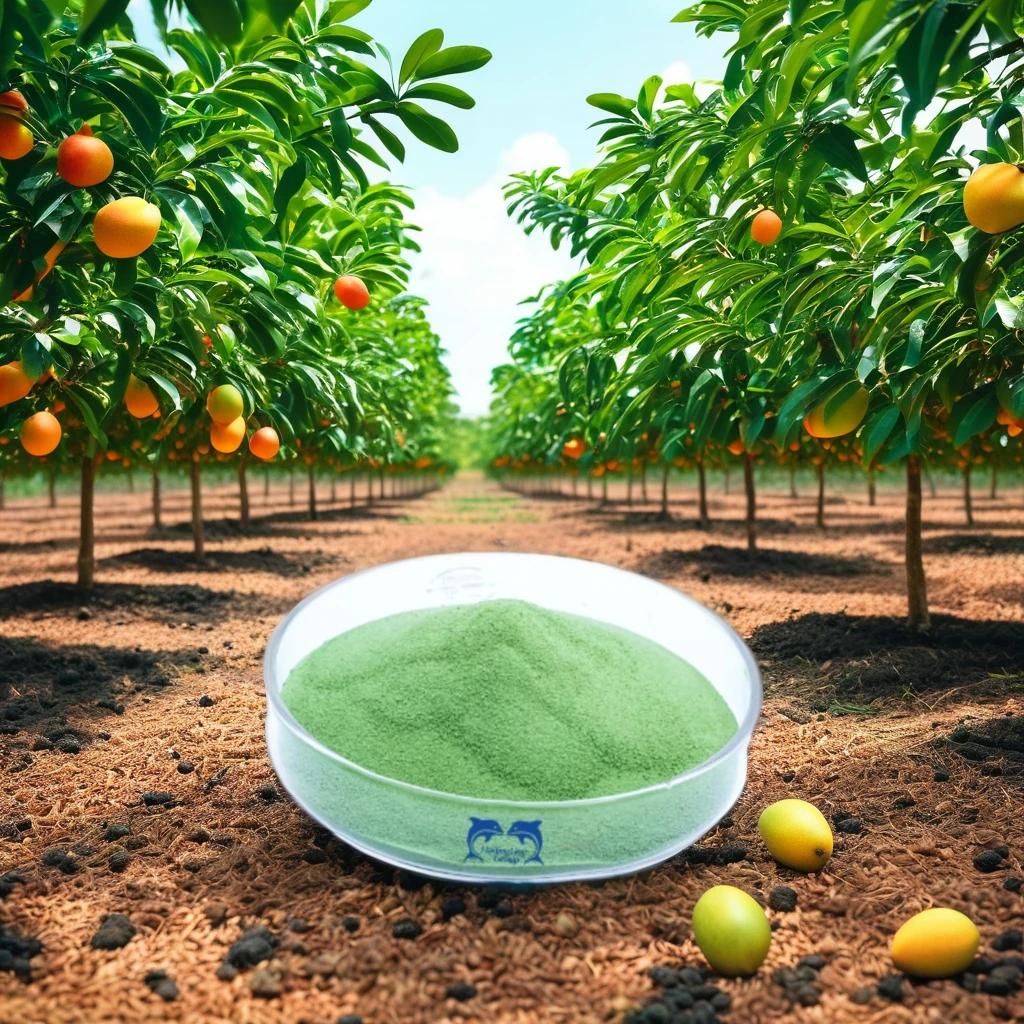 Manufacturer of china organic fertilizer plants produce seaweed biostimulant fertilizer for mango