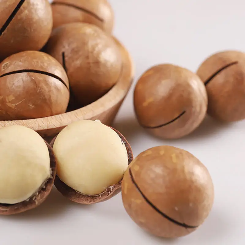 Hot sell wholesale cheap delicious sweet macadamia nuts for baking